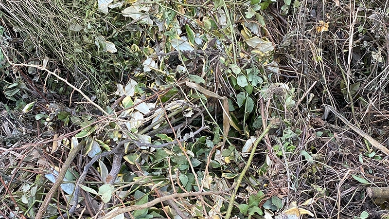 Garden waste recycling Buckinghamshire